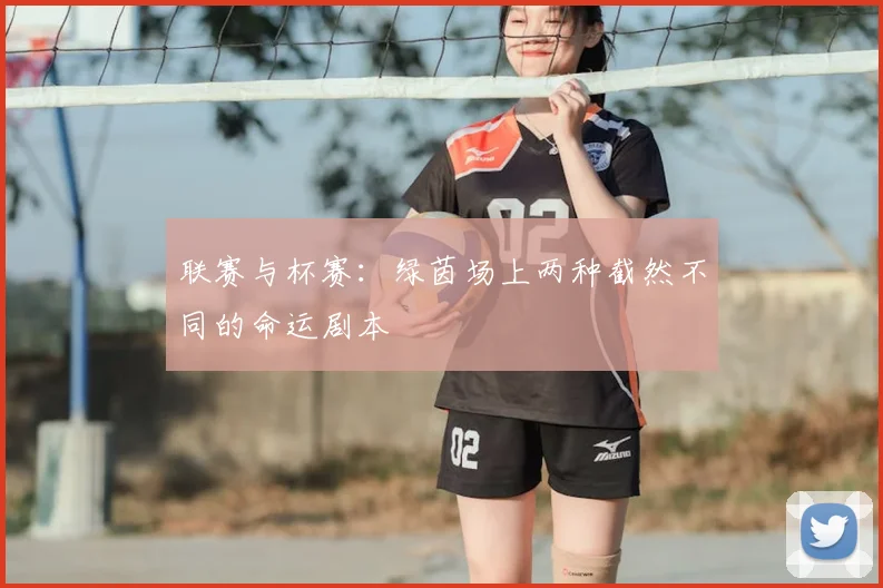 联赛与杯赛：绿茵场上两种截然不同的命运剧本